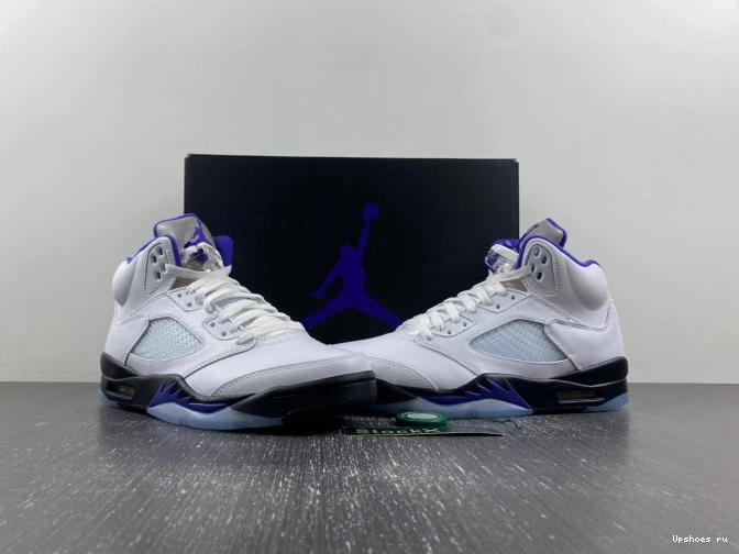5  DD0587-141 Jordan Retro Dark Concord 0808